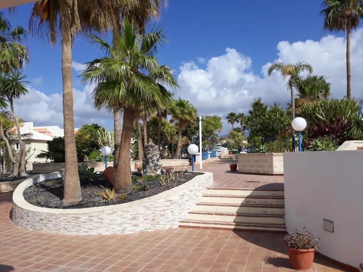 Bungalow In The Palms Apartment San Miguel de Abona